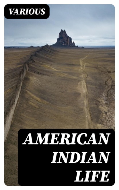 American Indian life