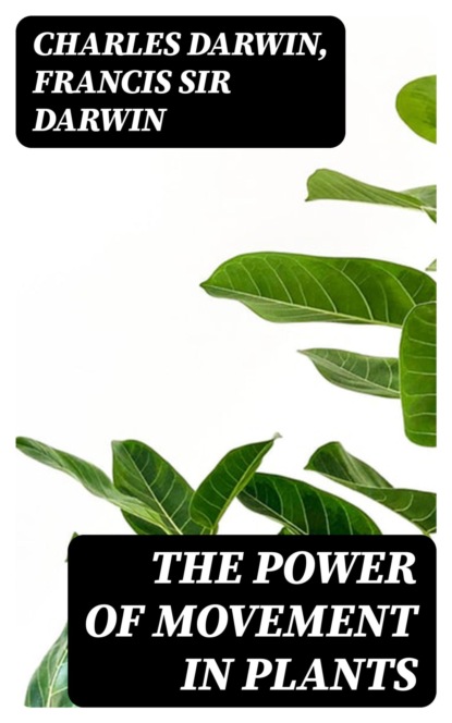 The Power of Movement in Plants