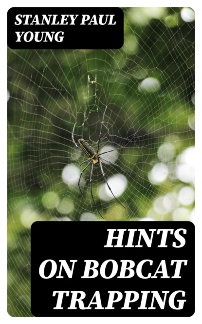 Hints on Bobcat Trapping