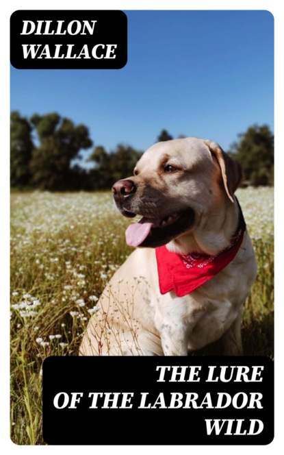 The Lure of the Labrador Wild
