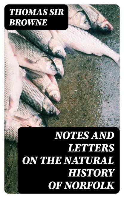 Notes and Letters on the Natural History of Norfolk