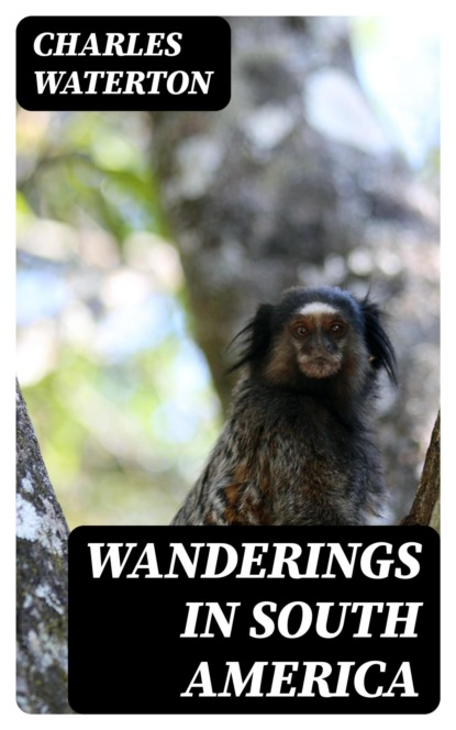 Wanderings in South America