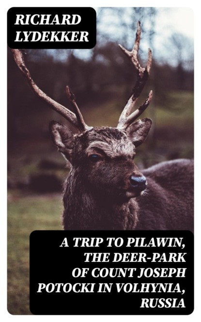 A Trip to Pilawin, the Deer-park of Count Joseph Potocki in Volhynia, Russia