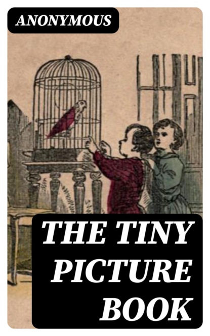 The Tiny Picture Book