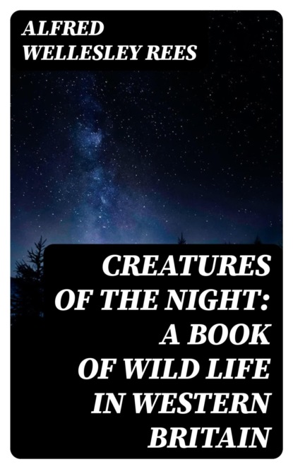 Creatures of the Night: A Book of Wild Life in Western Britain