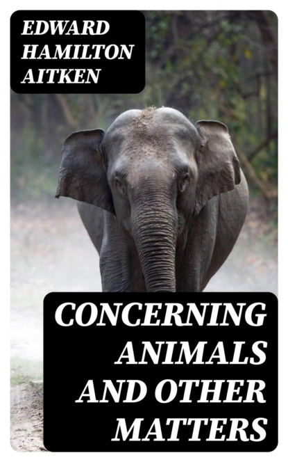 Concerning Animals and Other Matters