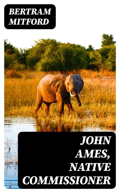 John Ames, Native Commissioner