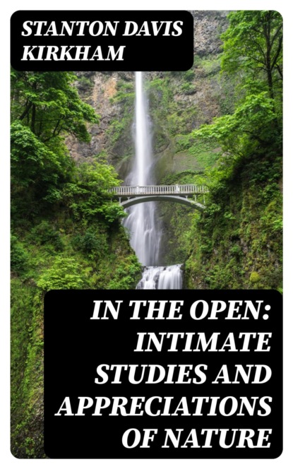 In the Open: Intimate Studies and Appreciations of Nature