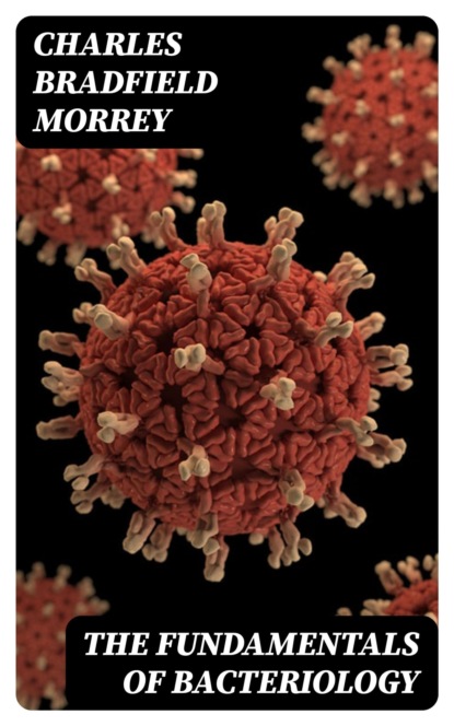 The Fundamentals of Bacteriology