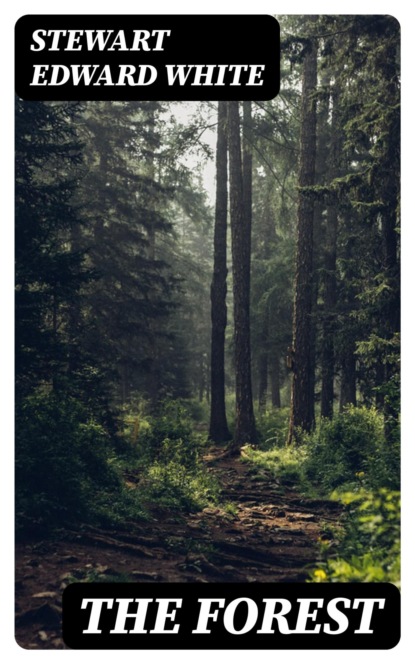 The Forest