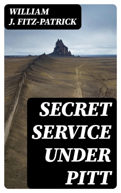 Secret Service Under Pitt