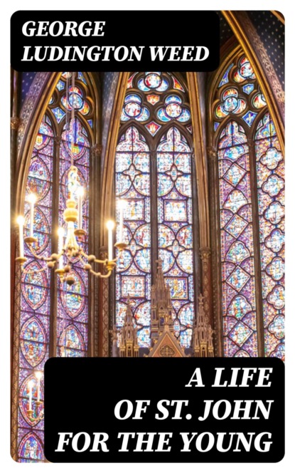 A Life of St. John for the Young