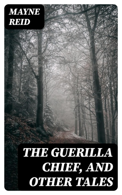 The Guerilla Chief, and Other Tales
