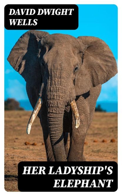 Her Ladyship's Elephant