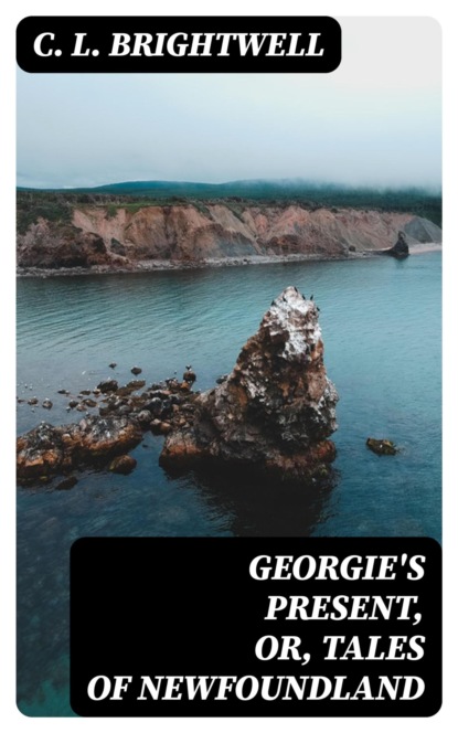 Georgie's Present, or, Tales of Newfoundland