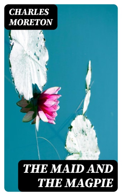 The Maid and the Magpie