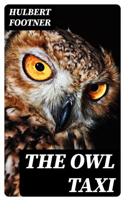The Owl Taxi