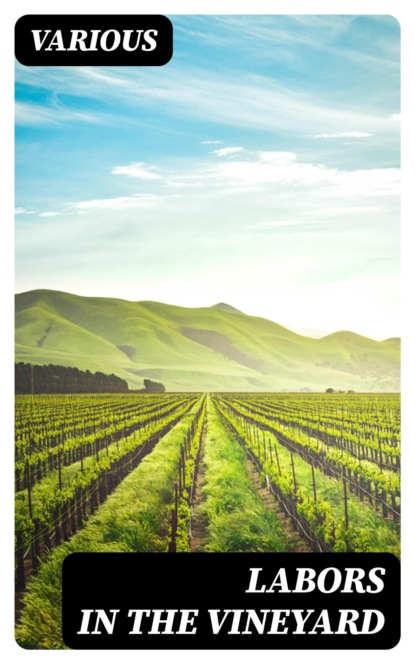 Labors in the Vineyard