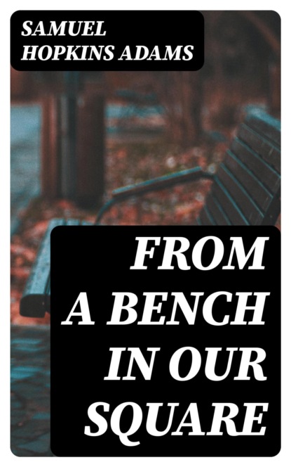 From a Bench in Our Square