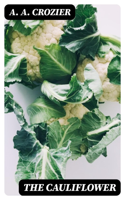 The Cauliflower