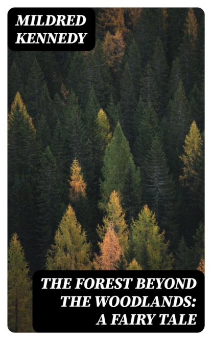 The Forest Beyond the Woodlands: A Fairy Tale