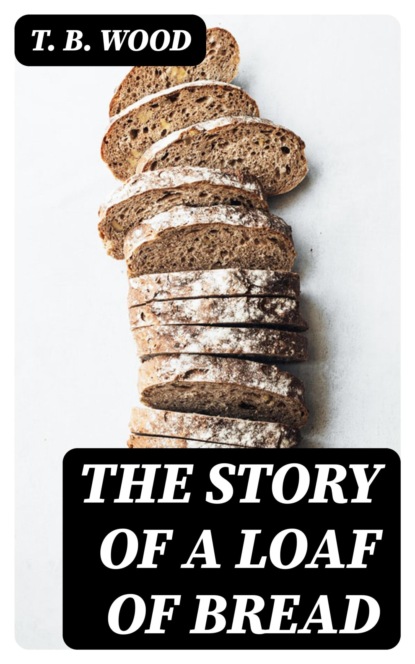 The Story of a Loaf of Bread