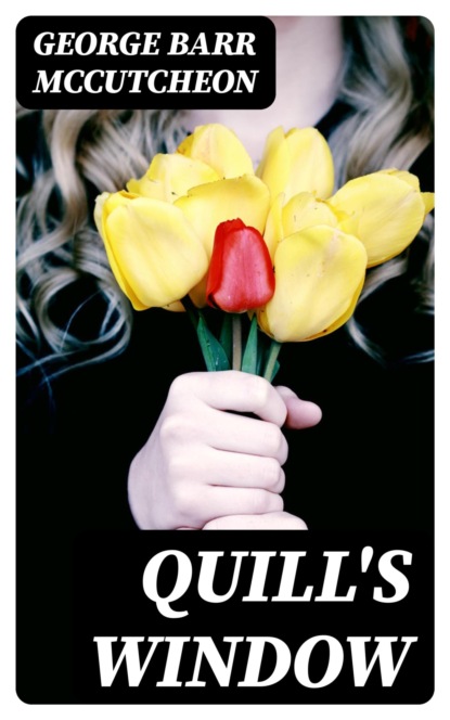 Quill's Window