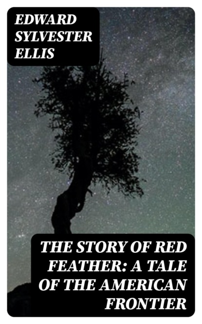 The Story of Red Feather: A Tale of the American Frontier