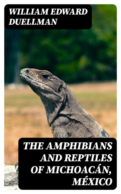 The Amphibians and Reptiles of Michoacán, México
