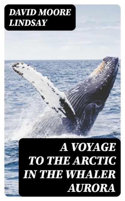 A Voyage to the Arctic in the Whaler Aurora
