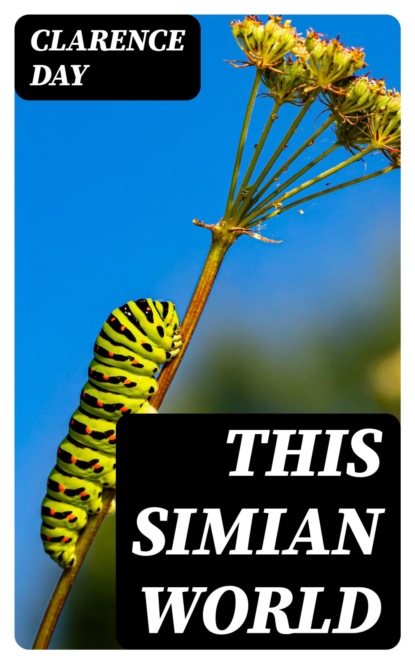 This Simian World