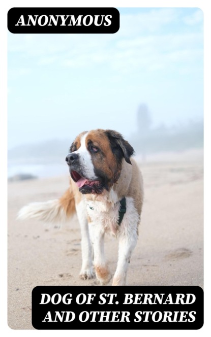 Dog of St. Bernard and Other Stories