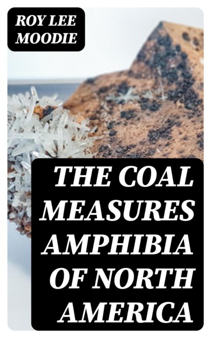 The Coal Measures Amphibia of North America