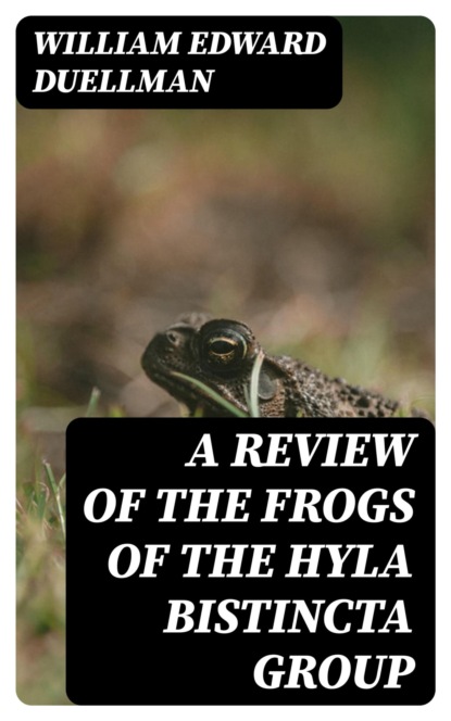 A Review of the Frogs of the Hyla bistincta Group