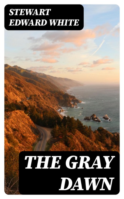 The Gray Dawn