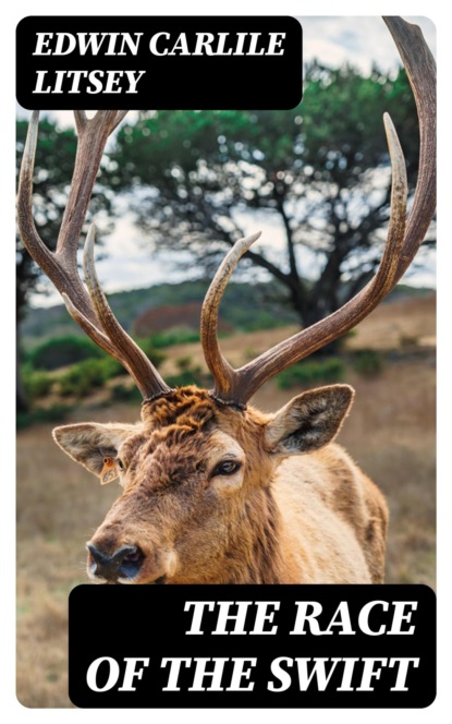 The Race of the Swift