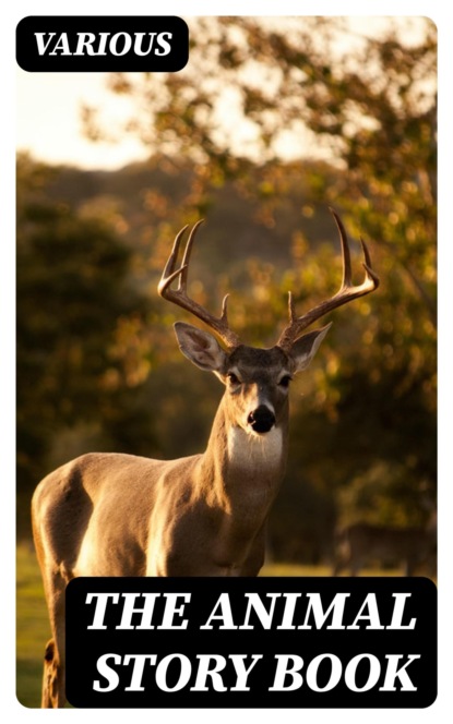 The Animal Story Book
