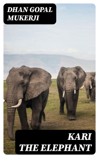 Kari the Elephant