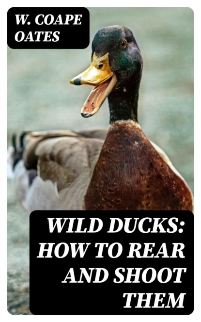 Wild Ducks: How to Rear and Shoot Them