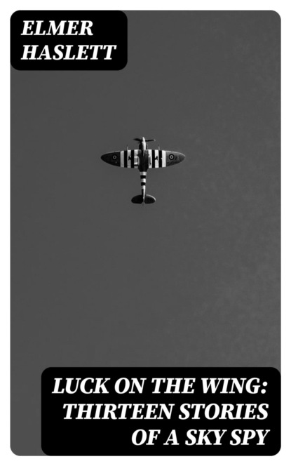 Luck on the Wing: Thirteen Stories of a Sky Spy
