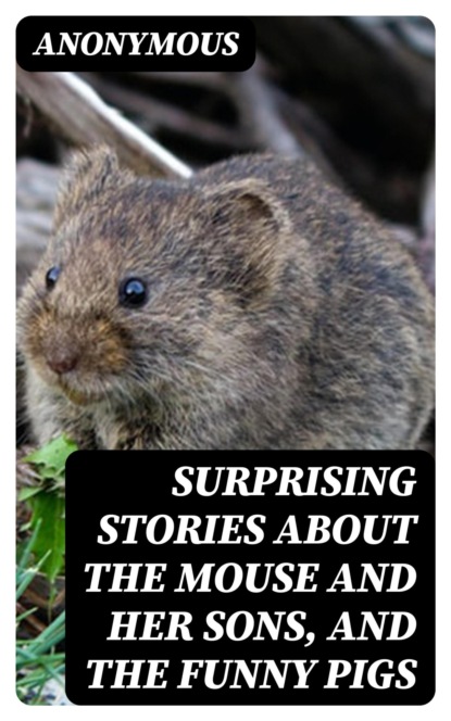 Surprising Stories about the Mouse and Her Sons, and the Funny Pigs