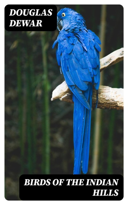 Birds of the Indian Hills