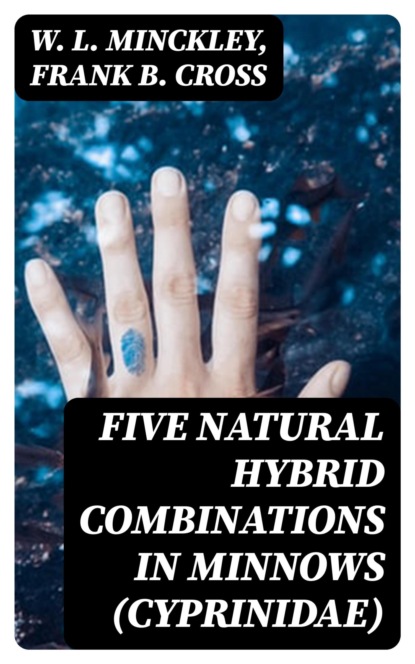 Five Natural Hybrid Combinations in Minnows (Cyprinidae)