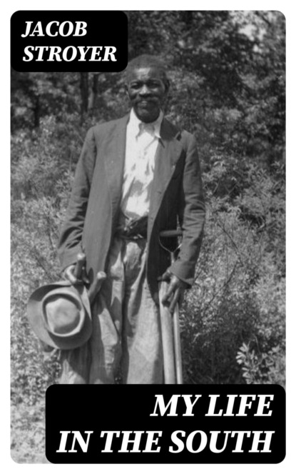 My Life In The South