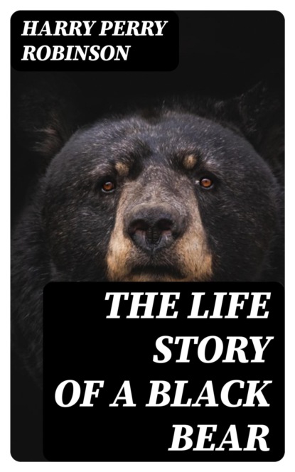 The Life Story of a Black Bear