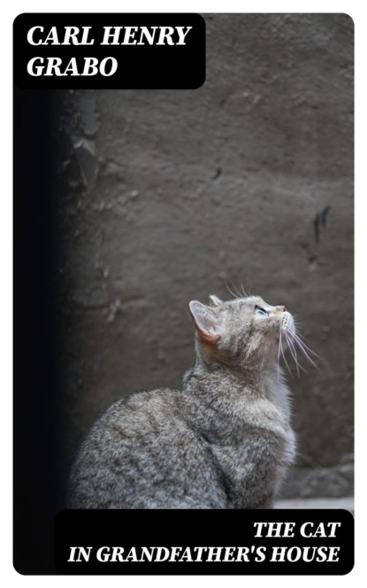 The Cat in Grandfather's House