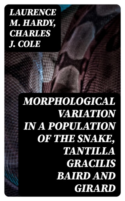 Morphological Variation in a Population of the Snake, Tantilla gracilis Baird and Girard