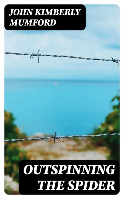 Outspinning the Spider