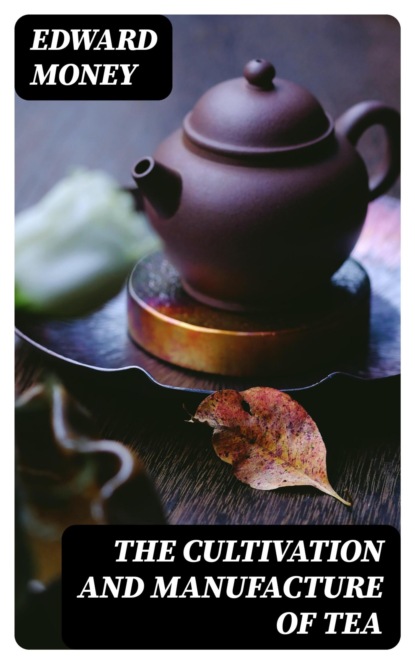 The Cultivation and Manufacture of Tea