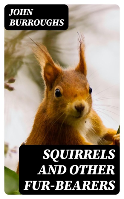Squirrels and Other Fur-Bearers